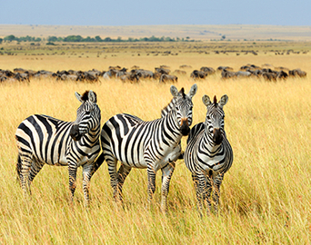 Силовая сварка