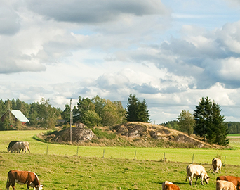 Двойная интеграция